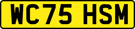 WC75HSM