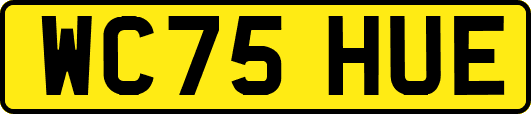 WC75HUE