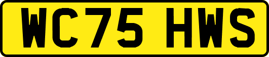 WC75HWS