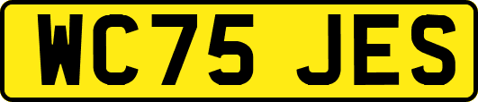 WC75JES