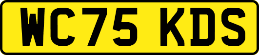 WC75KDS