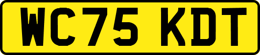 WC75KDT
