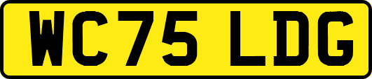 WC75LDG