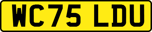 WC75LDU