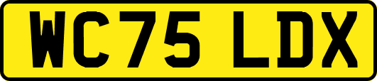 WC75LDX