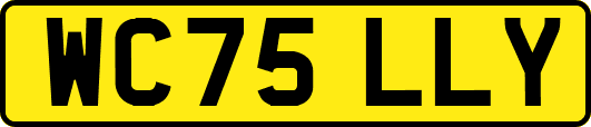 WC75LLY