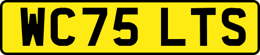 WC75LTS