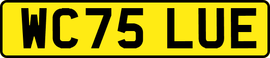 WC75LUE