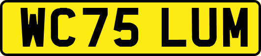 WC75LUM
