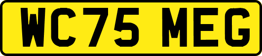 WC75MEG