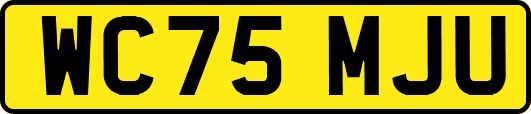 WC75MJU