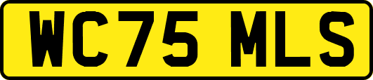 WC75MLS