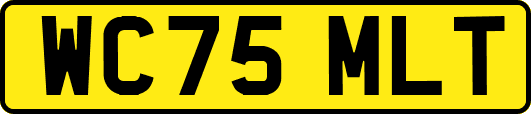 WC75MLT