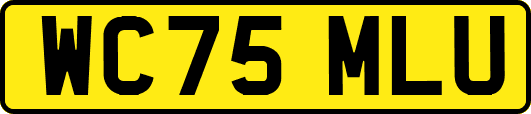 WC75MLU