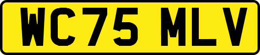 WC75MLV