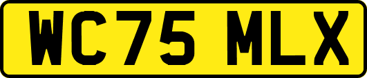 WC75MLX