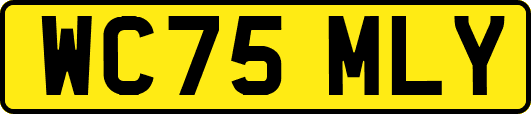WC75MLY