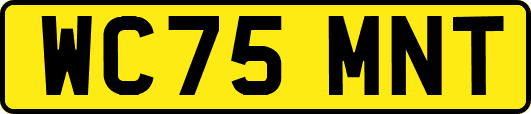WC75MNT