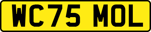 WC75MOL