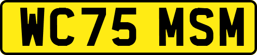 WC75MSM