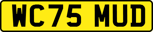 WC75MUD