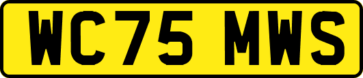 WC75MWS