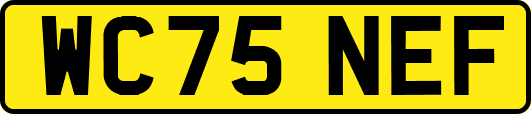WC75NEF
