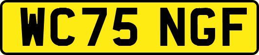 WC75NGF