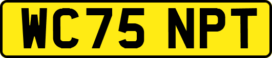 WC75NPT