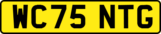 WC75NTG