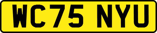 WC75NYU