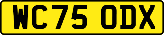 WC75ODX