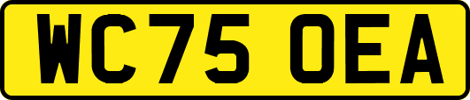 WC75OEA