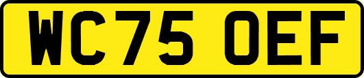 WC75OEF