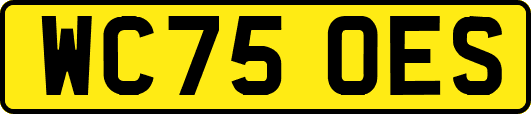 WC75OES