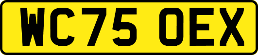 WC75OEX