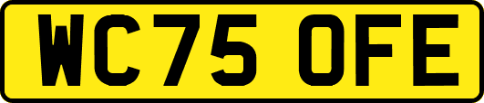 WC75OFE