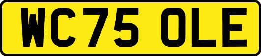 WC75OLE