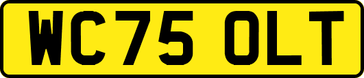 WC75OLT