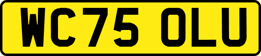 WC75OLU