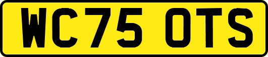 WC75OTS