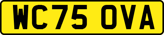 WC75OVA