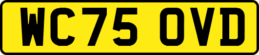 WC75OVD