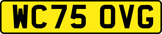 WC75OVG