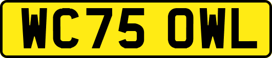 WC75OWL