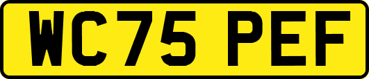 WC75PEF