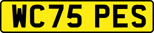 WC75PES