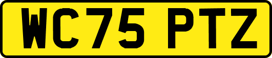 WC75PTZ