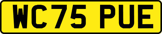 WC75PUE