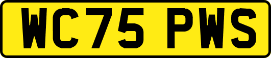 WC75PWS
